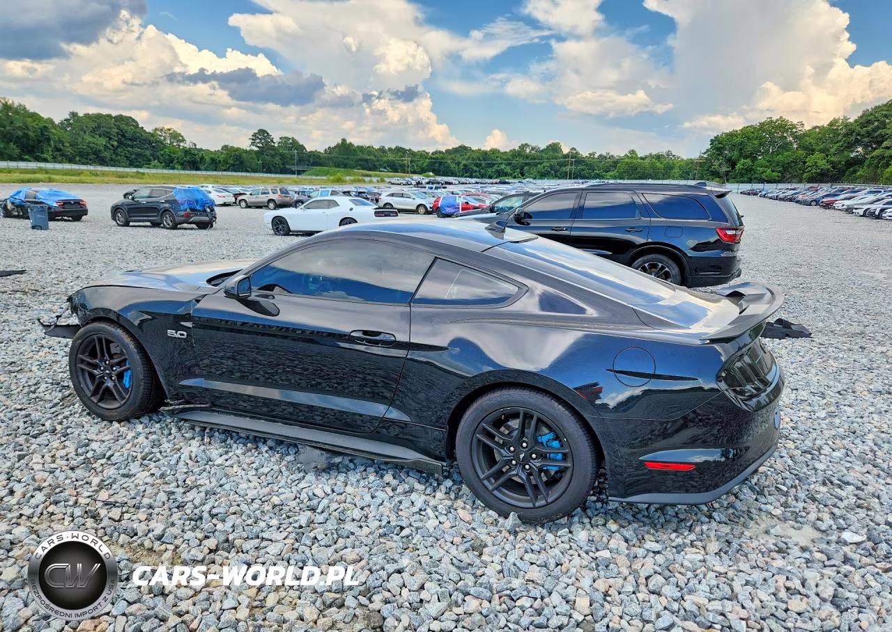 2021 Ford Mustang Gt VIN:1FA6P8CF6M5149256 - 2