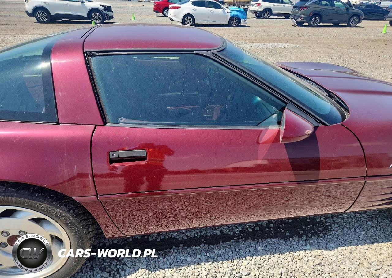 1993 Chev Corvette VIN:1G1YY23P0P5101853 - 10