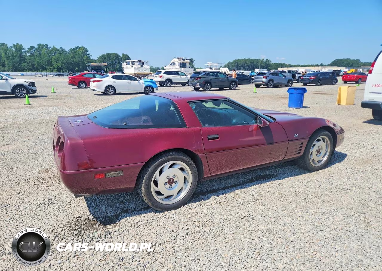 1993 Chev Corvette VIN:1G1YY23P0P5101853 - 3
