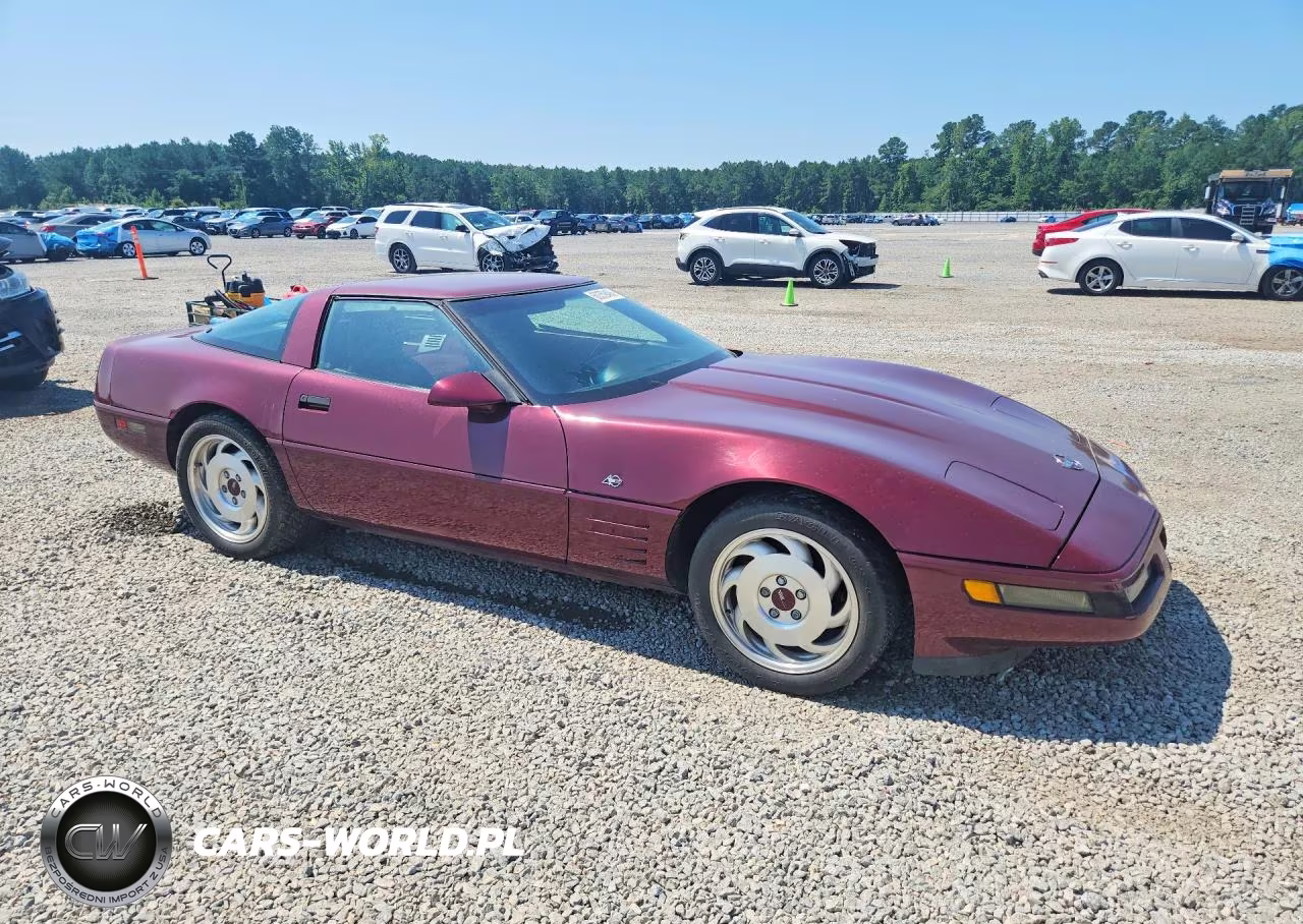 1993 Chev Corvette VIN:1G1YY23P0P5101853 - 4