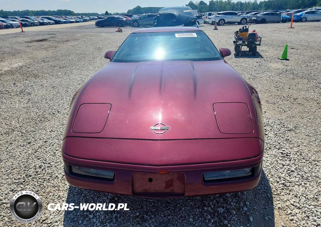 1993 Chev Corvette VIN:1G1YY23P0P5101853 - 5