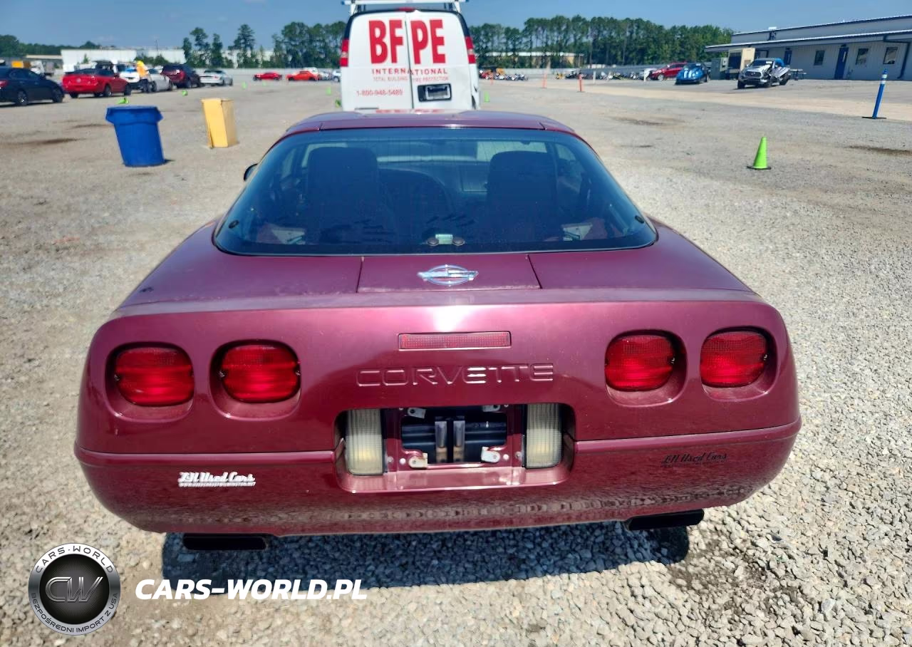 1993 Chev Corvette VIN:1G1YY23P0P5101853 - 6