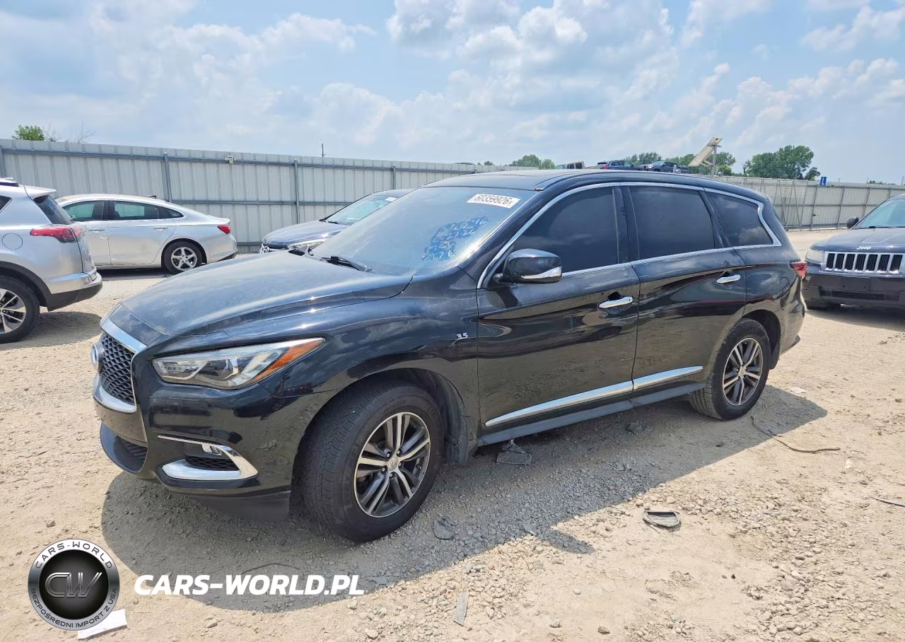 2019 Infiniti Qx60 Pure VIN:5N1DL0MM1KC534773 - 1