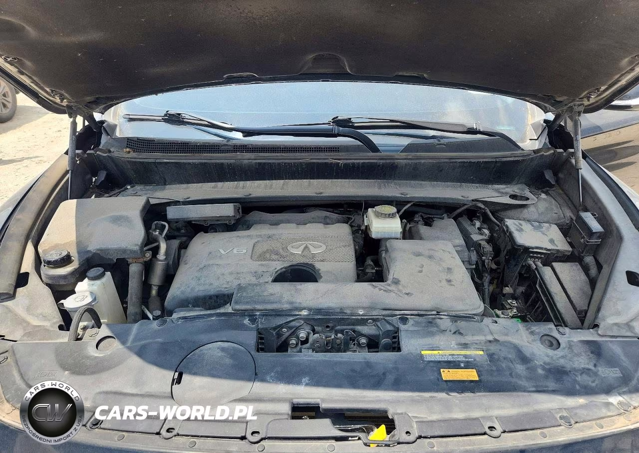 2019 Infiniti Qx60 Pure VIN:5N1DL0MM1KC534773 - 11
