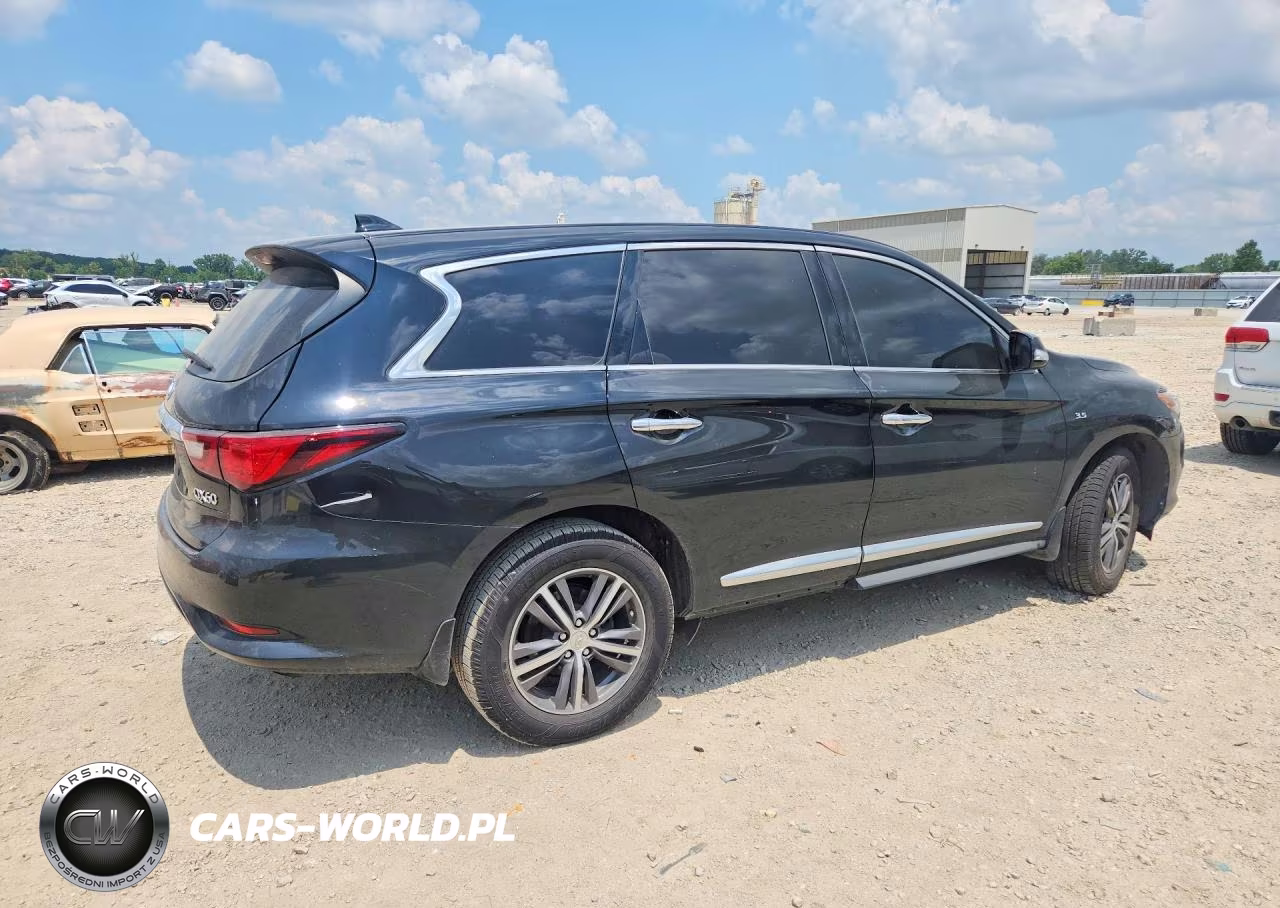 2019 Infiniti Qx60 Pure VIN:5N1DL0MM1KC534773 - 3