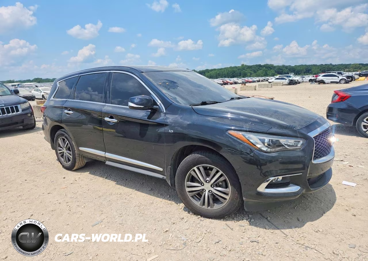 2019 Infiniti Qx60 Pure VIN:5N1DL0MM1KC534773 - 4
