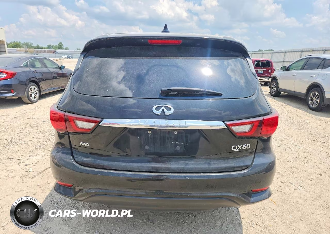 2019 Infiniti Qx60 Pure VIN:5N1DL0MM1KC534773 - 6