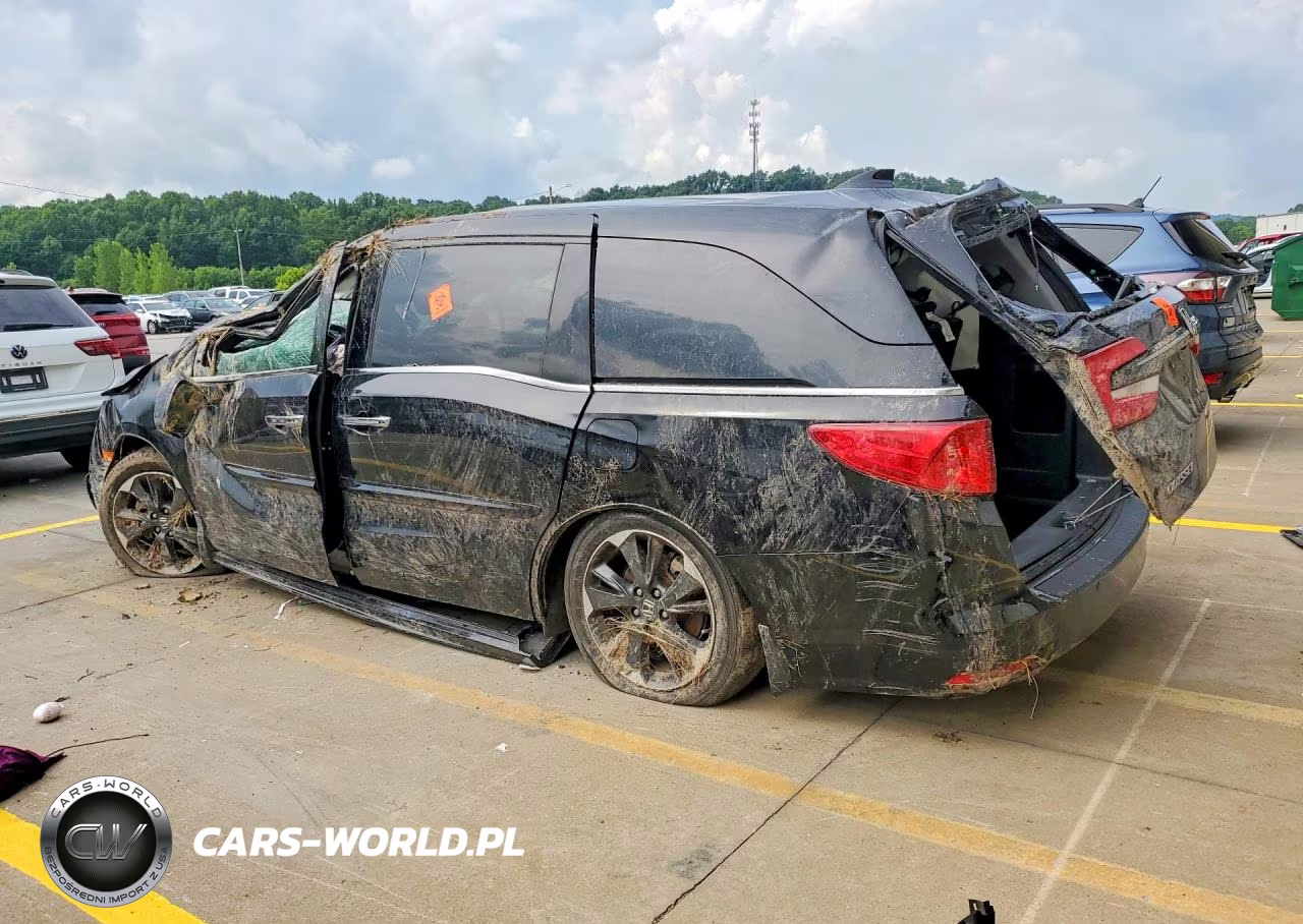 2023 Honda Odyssey Elite VIN:5FNRL6H9XPB016075 - 2