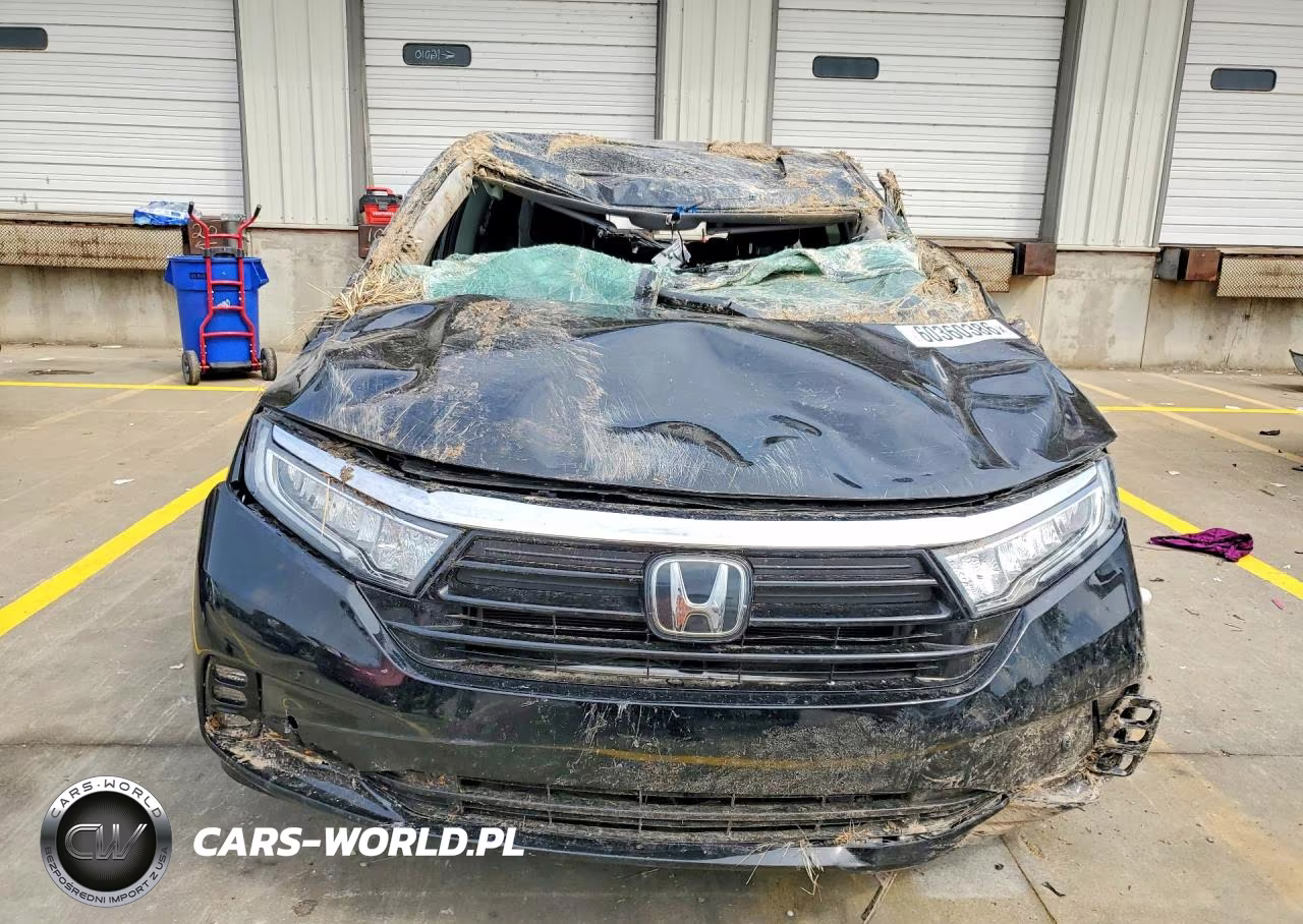 2023 Honda Odyssey Elite VIN:5FNRL6H9XPB016075 - 5