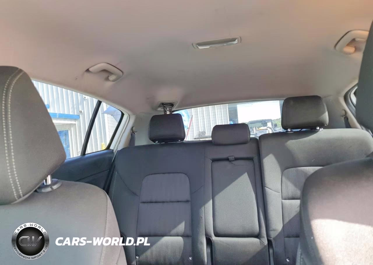 2017 Kia Sportage Lx VIN:KNDPM3AC2H7108006 - 10