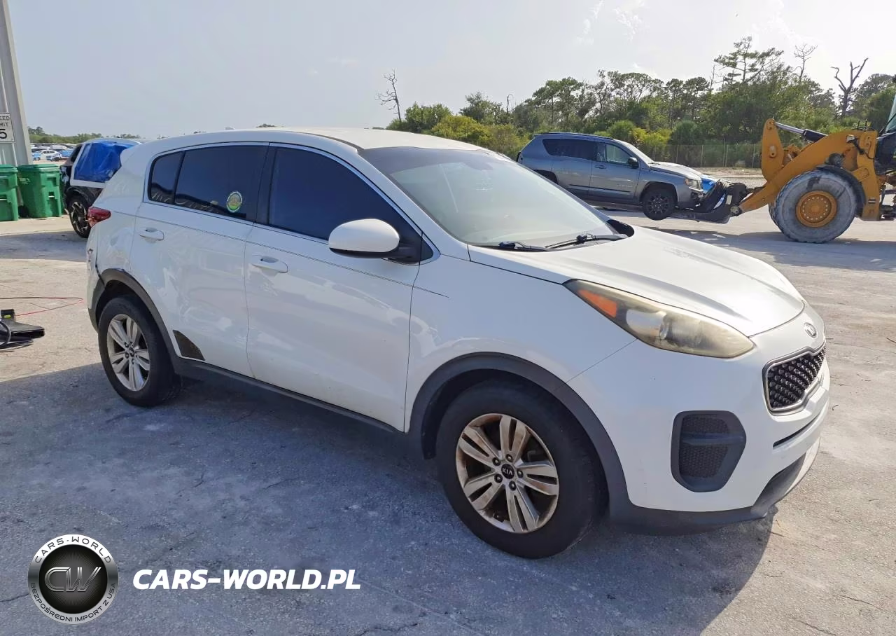 2017 Kia Sportage Lx VIN:KNDPM3AC2H7108006 - 4