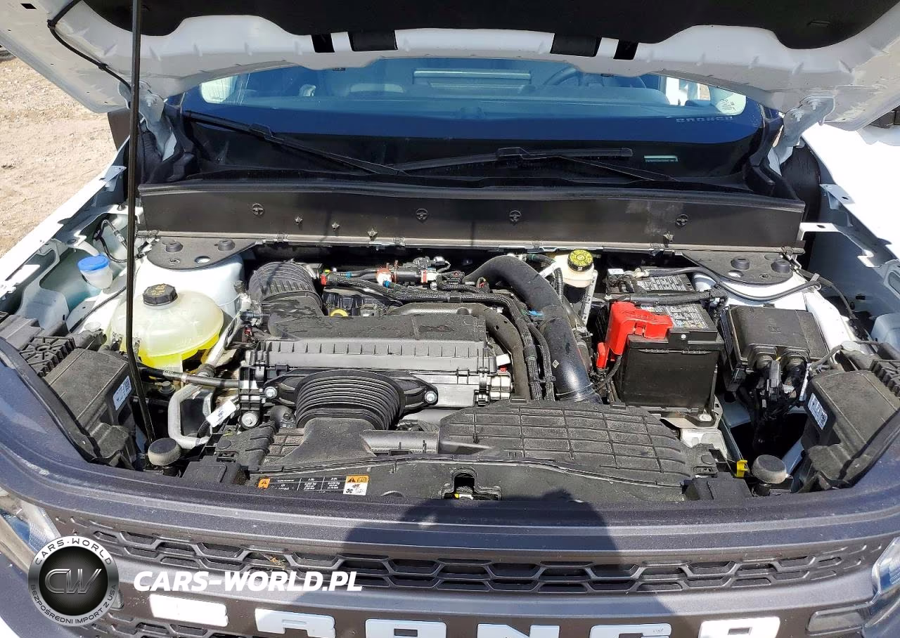 2025 Ford Bronco Sport Badlands VIN:3FMCR9DA4SRF07900 - 12
