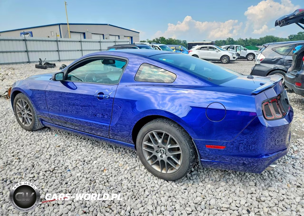 2014 Ford Mustang VIN:1ZVBP8AM7E5280592 - 2