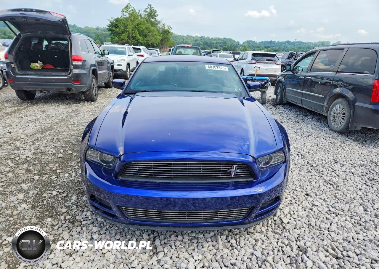 2014 Ford Mustang VIN:1ZVBP8AM7E5280592 - 5