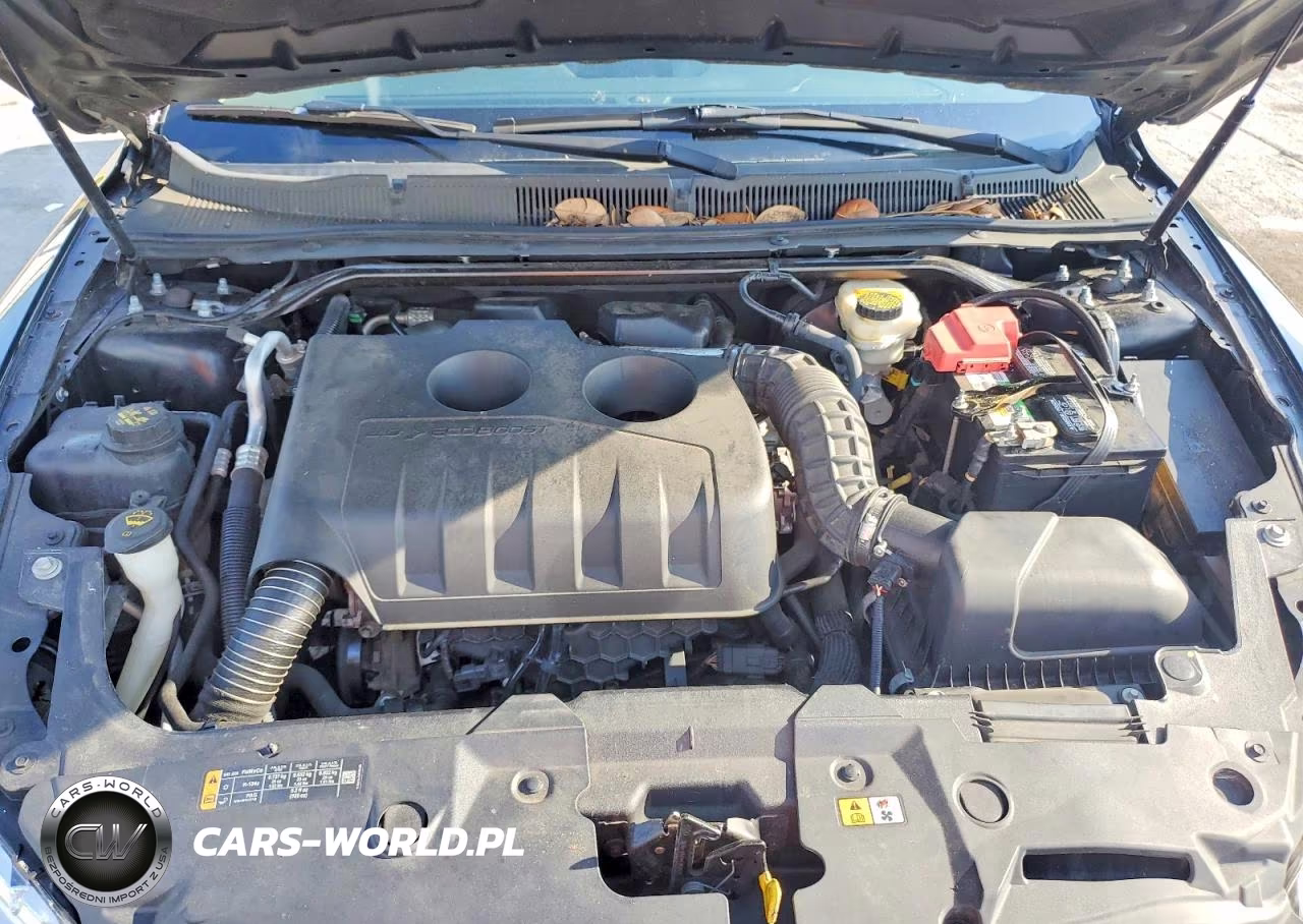 FORD TAURUS VIN:1FAHP2D99EG165035 - 11
