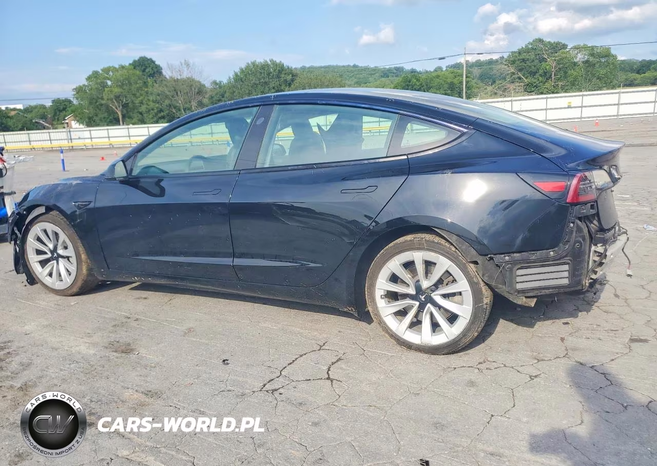 2021 Tesla Model 3 VIN:5YJ3E1EA8MF851198 - 2