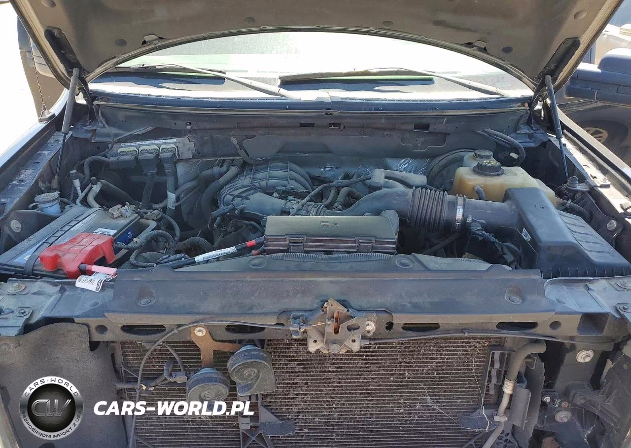 2013 Ford F150 Supercrew VIN:1FTEW1CM4DFA52758 - 11