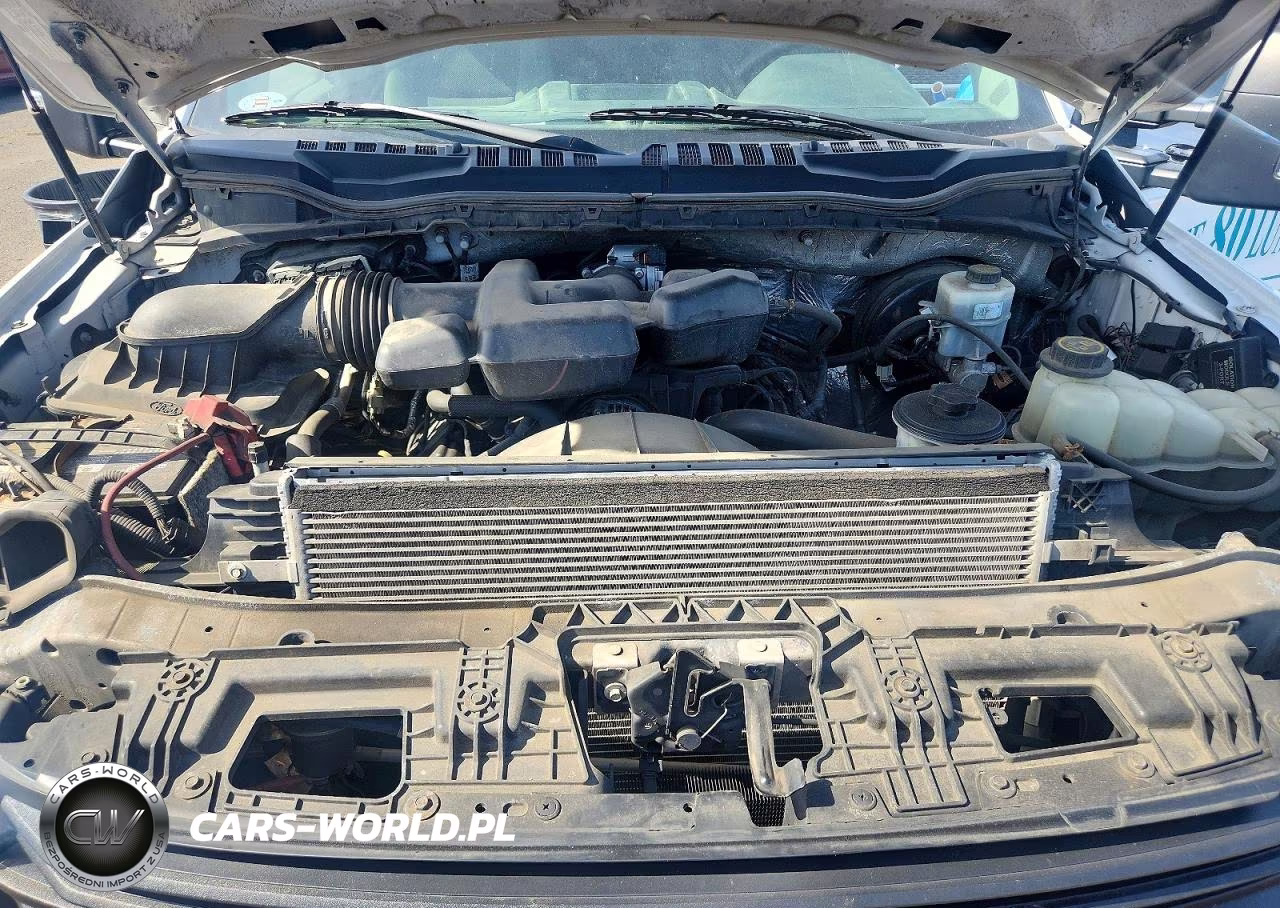 2019 Ford F250 Super Duty VIN:1FTBF2B60KEG62672 - 11