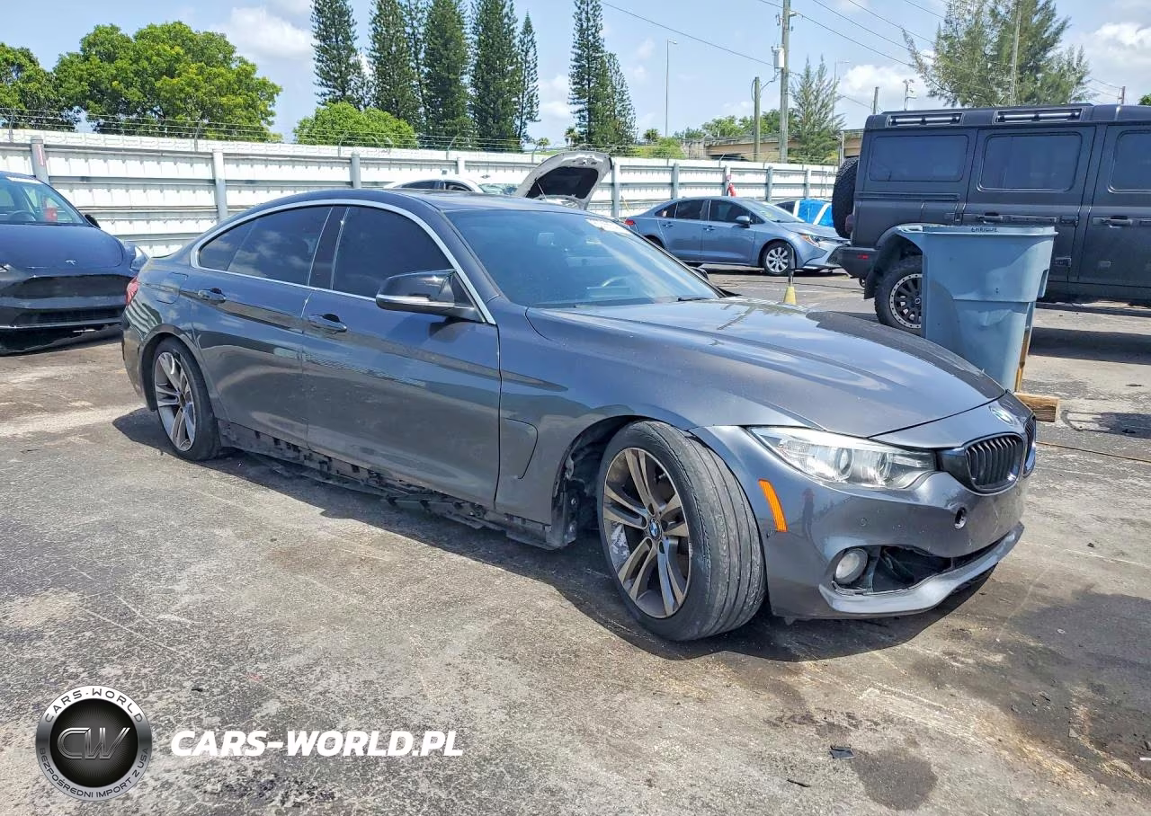 2016 BMW 428 I Gran Coupe Sulev VIN:WBA4A9C52GG508785 - 4