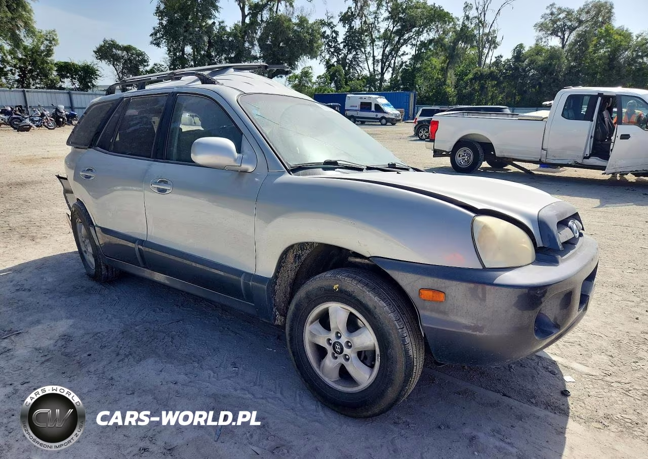 2006 Hyundai Santa Fe Gls VIN:KM8SC13E46U093048 - 4