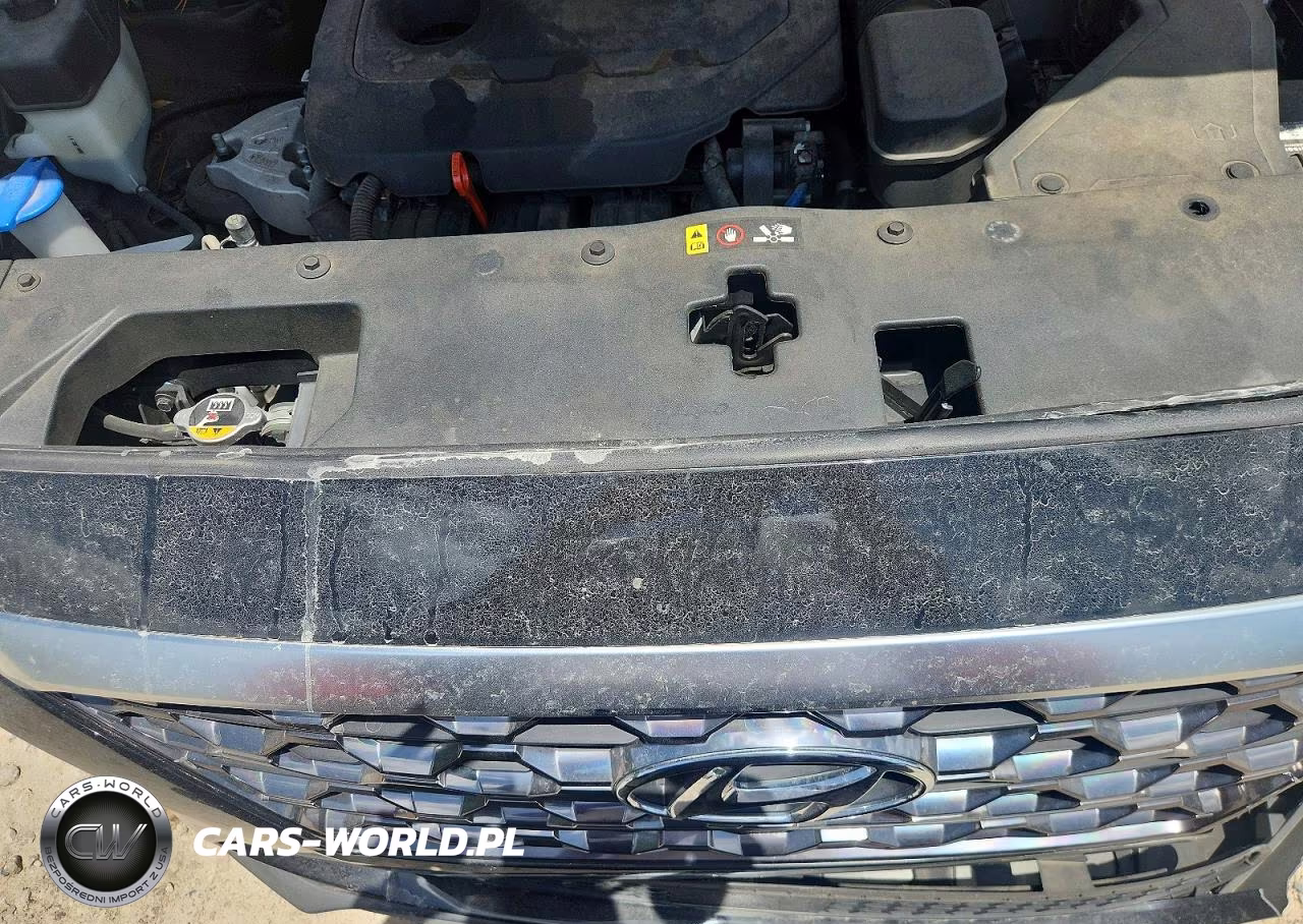 2020 Hyundai Santa Fe Sel VIN:5NMS33AD3LH252980 - 12