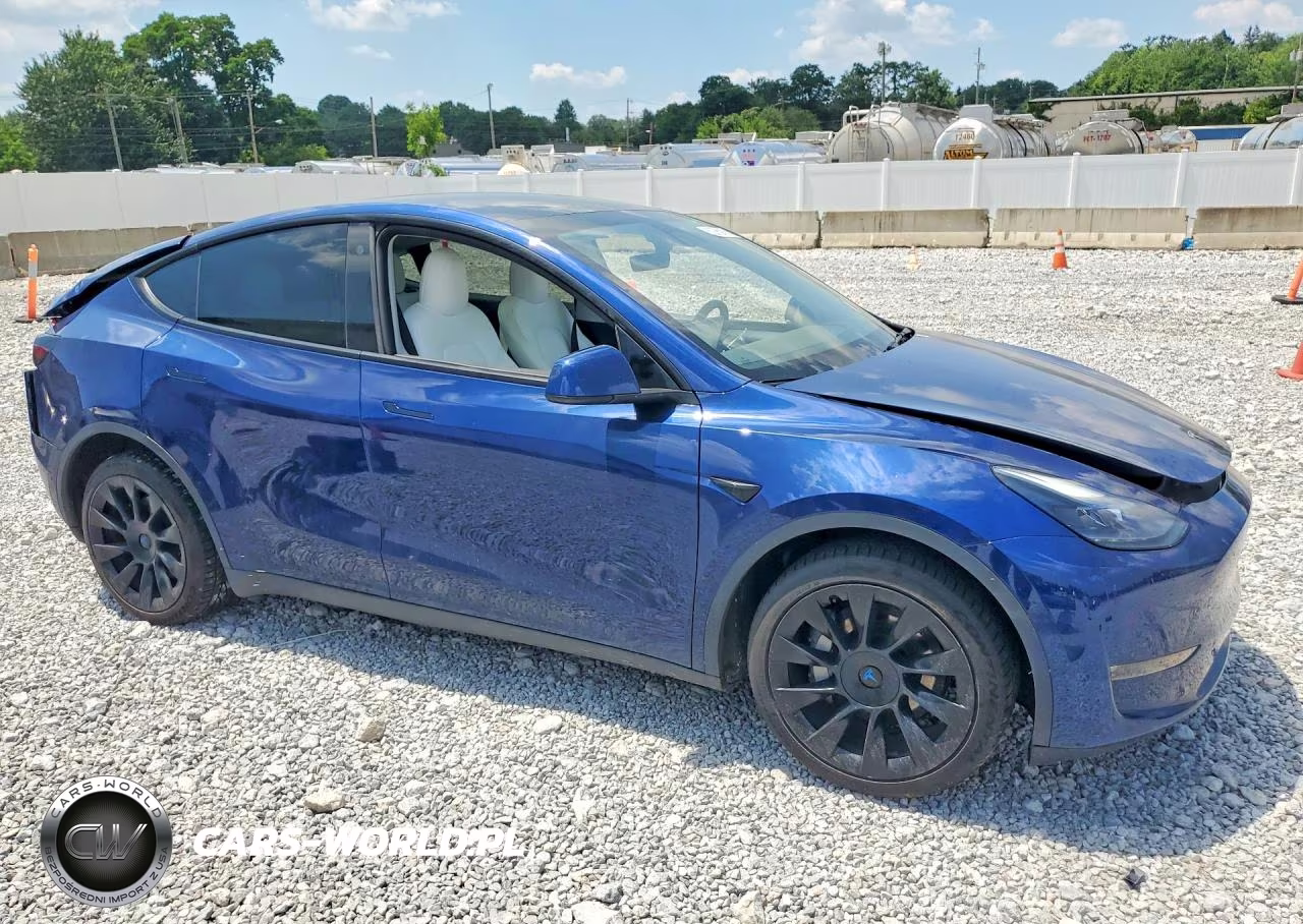 2022 Tesla Model Y VIN:7SAYGDEE4NF532132 - 4