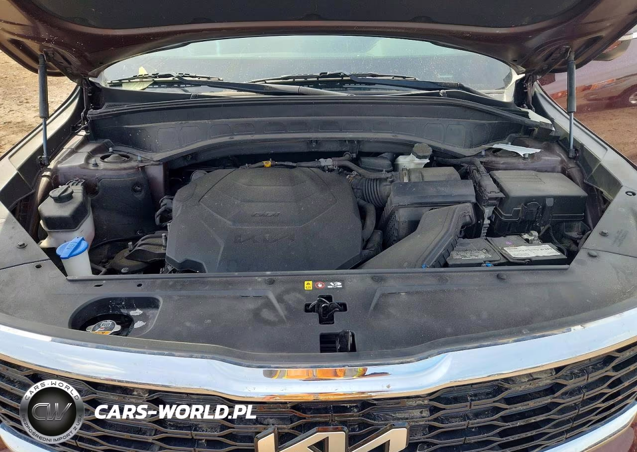 2022 Kia Telluride Lx VIN:5XYP2DHC8NG216470 - 11