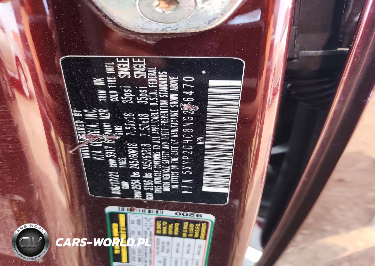 2022 Kia Telluride Lx VIN:5XYP2DHC8NG216470 - 12