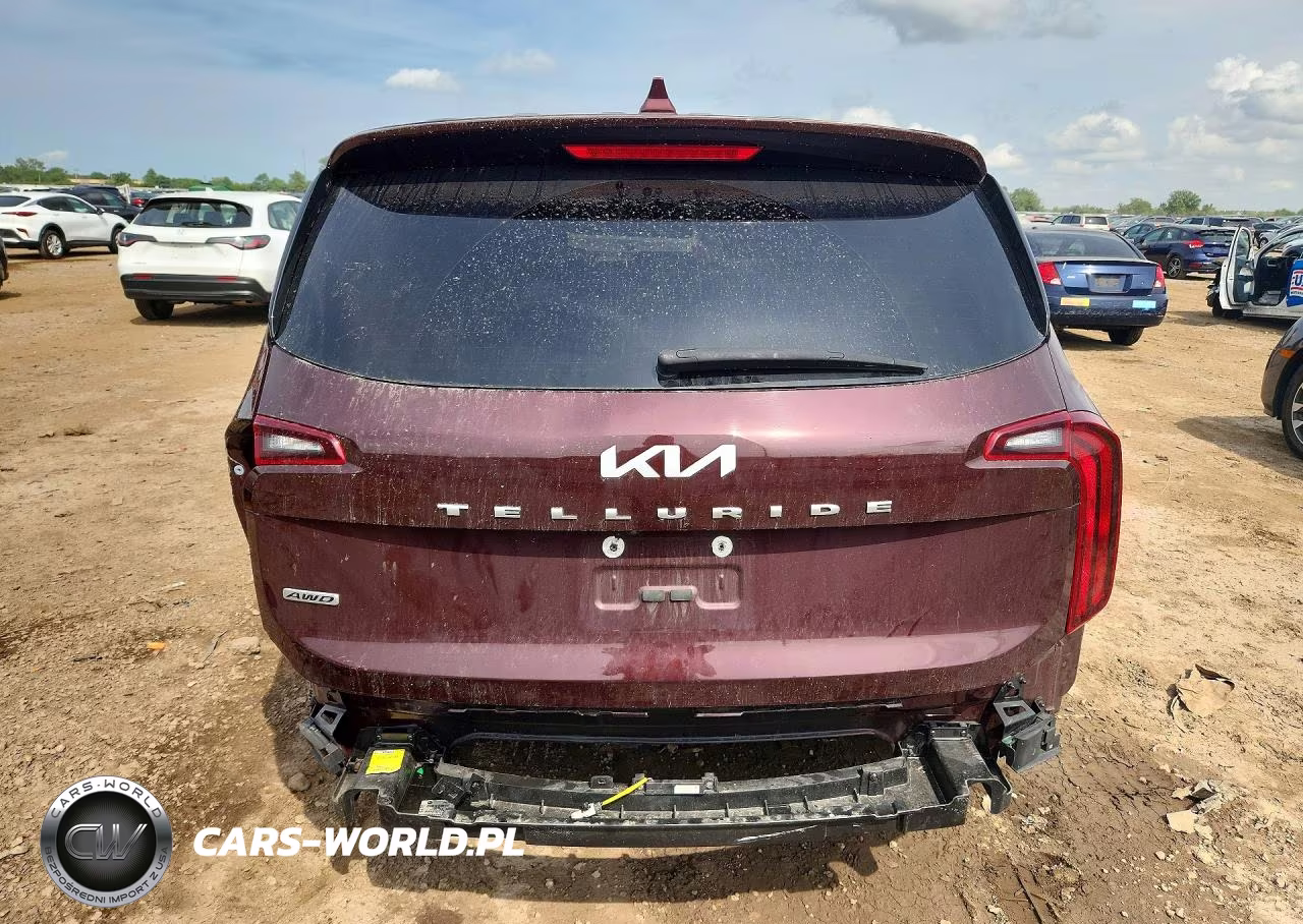 2022 Kia Telluride Lx VIN:5XYP2DHC8NG216470 - 6