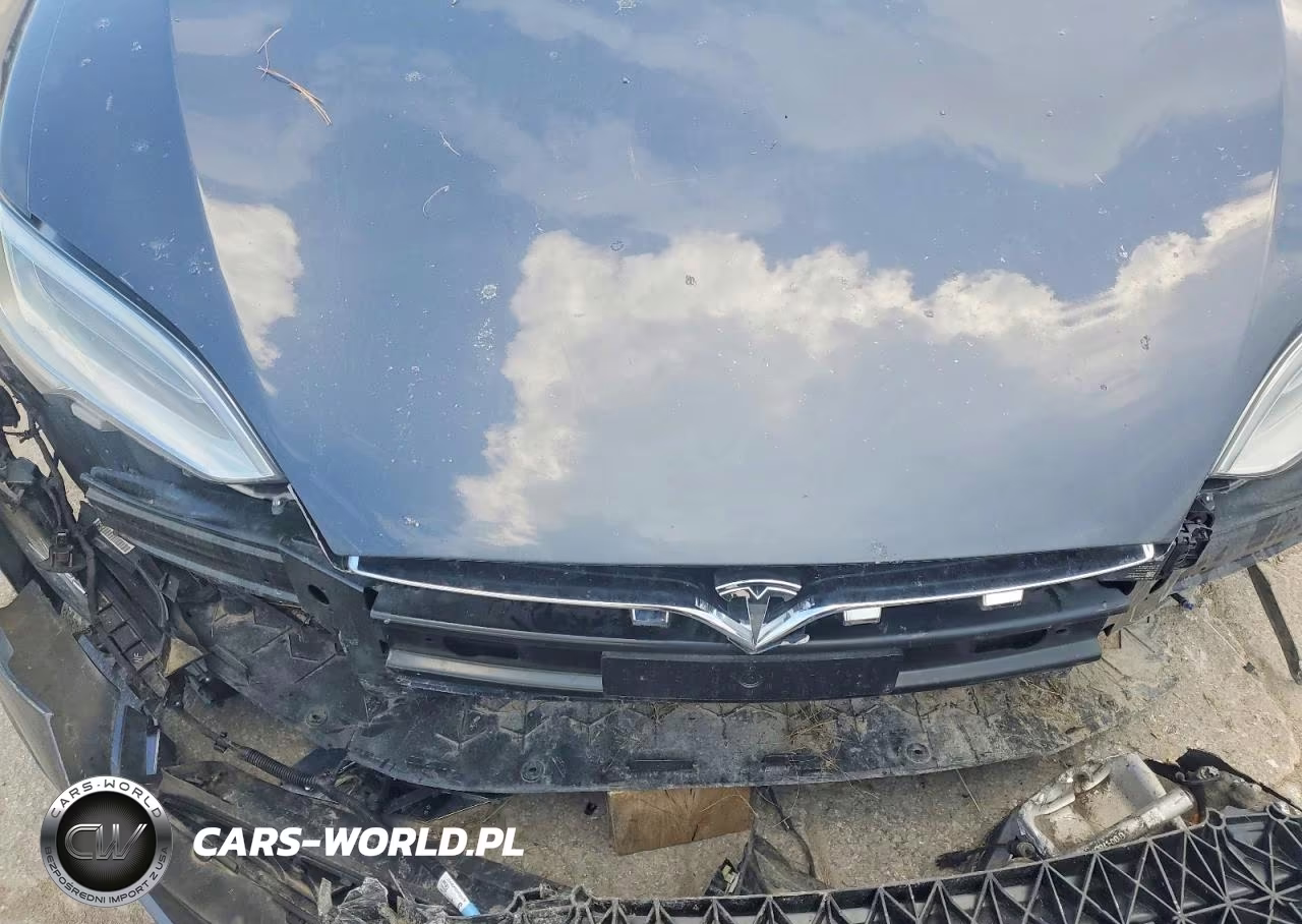 2019 Tesla Model S VIN:5YJSA1E25KF331117 - 11