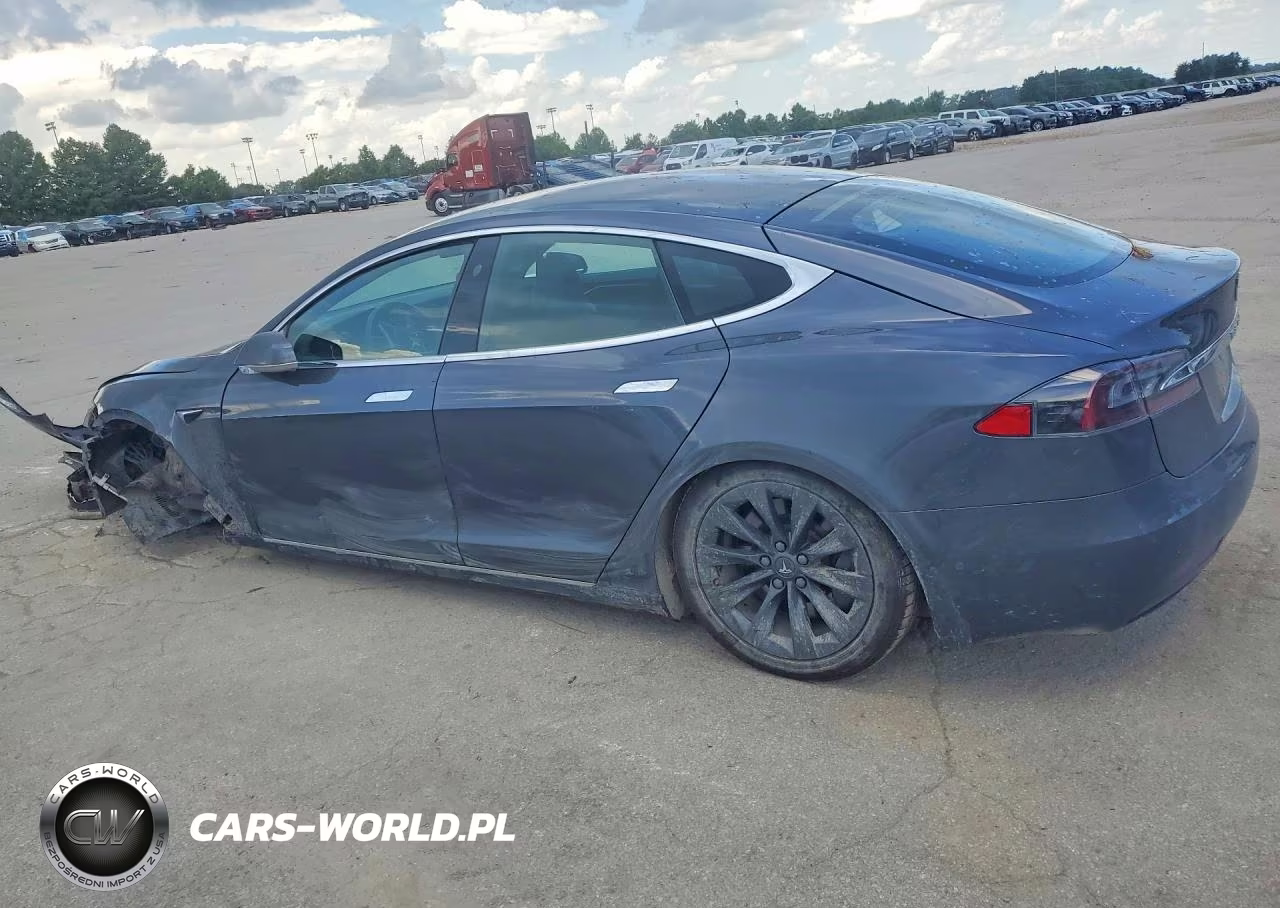 2019 Tesla Model S VIN:5YJSA1E25KF331117 - 2