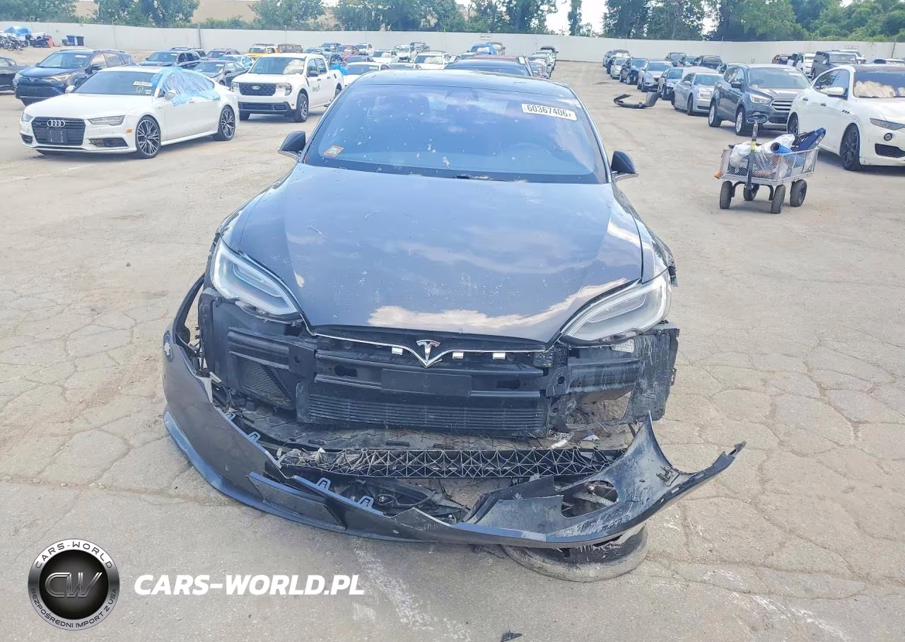 2019 Tesla Model S VIN:5YJSA1E25KF331117 - 5