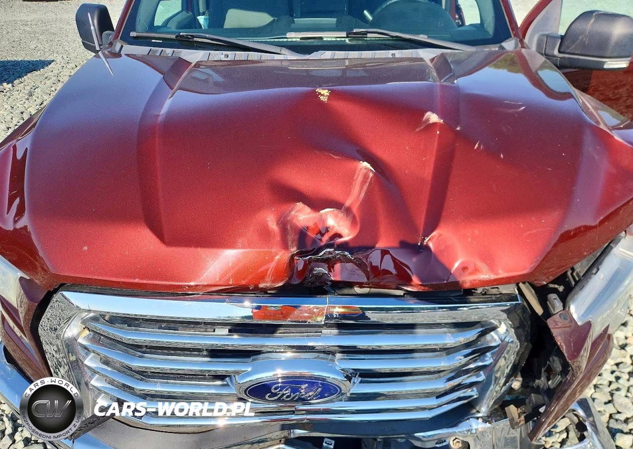 2015 Ford F150 Supercrew VIN:1FTEW1CPXFKE65496 - 11