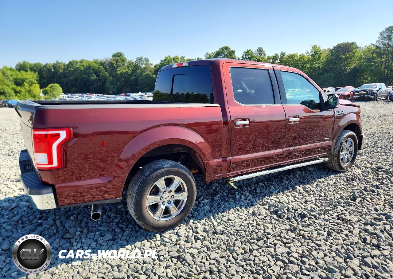 2015 Ford F150 Supercrew VIN:1FTEW1CPXFKE65496 - 3
