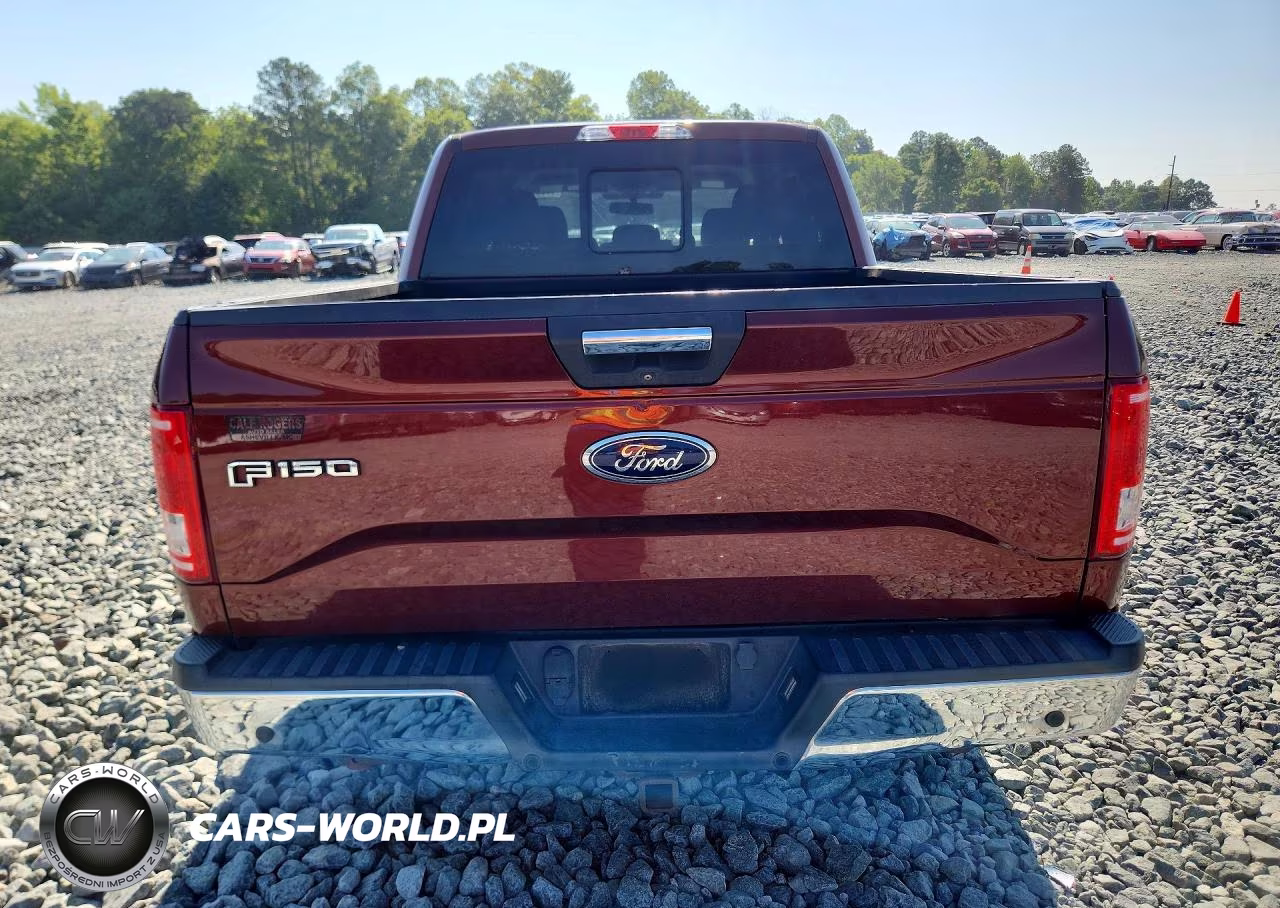 2015 Ford F150 Supercrew VIN:1FTEW1CPXFKE65496 - 6