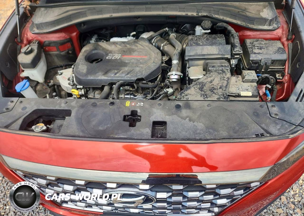 2019 Hyundai Santa Fe Limited 2.0T VIN:5NMS5CAA3KH115665 - 12