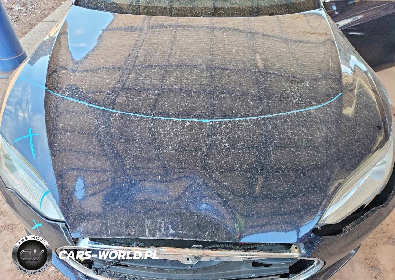 2013 Tesla Model S VIN:5YJSA1DP6DFP04598 - 11