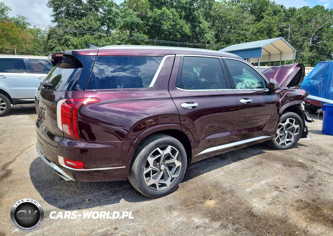 2025 Hyundai Palisade Calligraphy VIN:KM8R74HE5NU337270 - 3