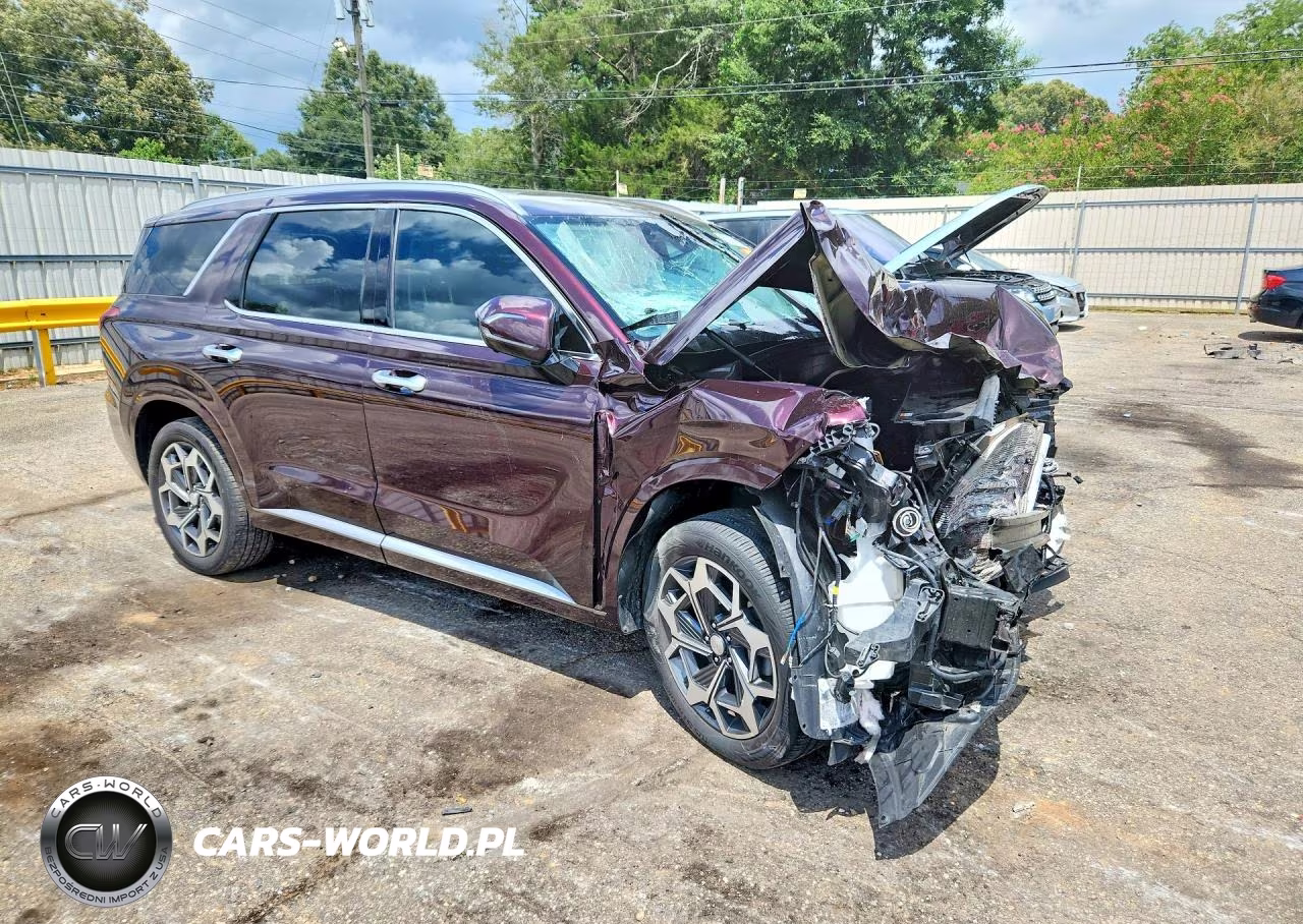 2025 Hyundai Palisade Calligraphy VIN:KM8R74HE5NU337270 - 4