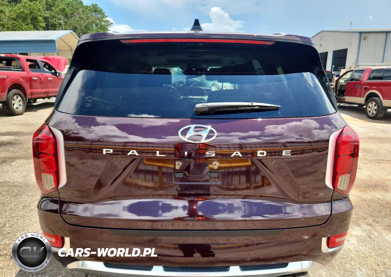 2025 Hyundai Palisade Calligraphy VIN:KM8R74HE5NU337270 - 6