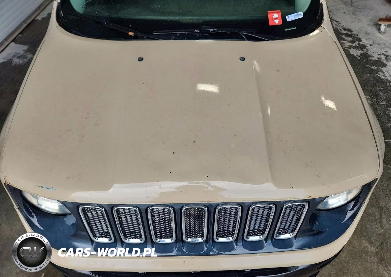 2016 Jeep Renegade Sport VIN:ZACCJAAW3GPC42059 - 12