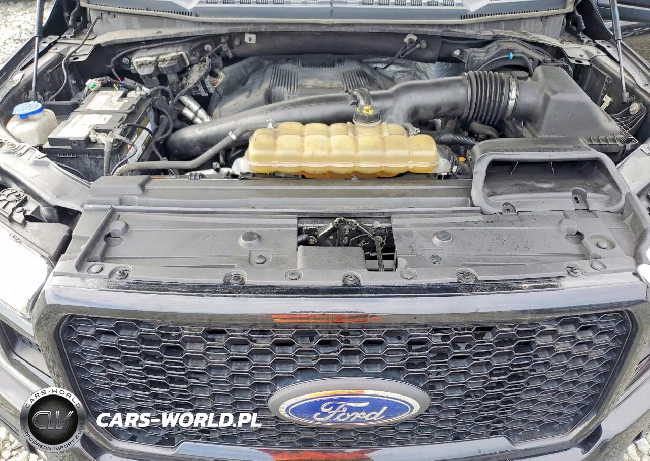 2019 Ford 150 VIN:1FTEW1E42KFD10494 - 11