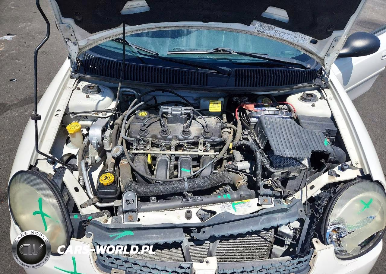 2003 Dodge Neon Sxt VIN:1B3ES56CX3D257311 - 11