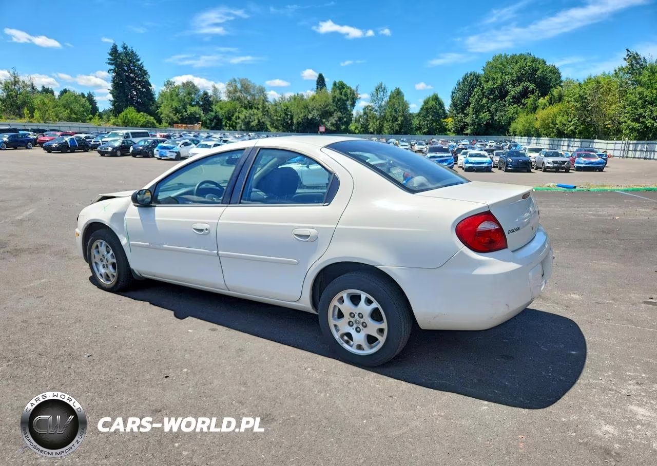2003 Dodge Neon Sxt VIN:1B3ES56CX3D257311 - 2
