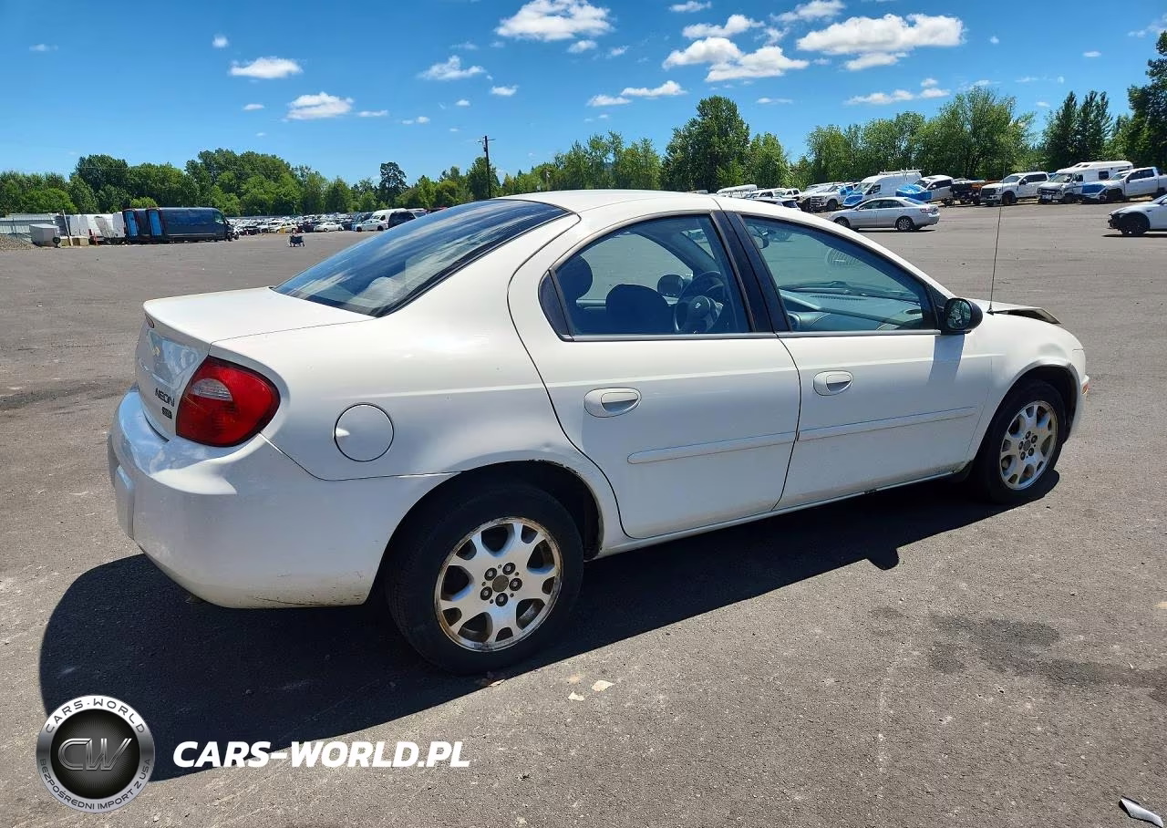 2003 Dodge Neon Sxt VIN:1B3ES56CX3D257311 - 3