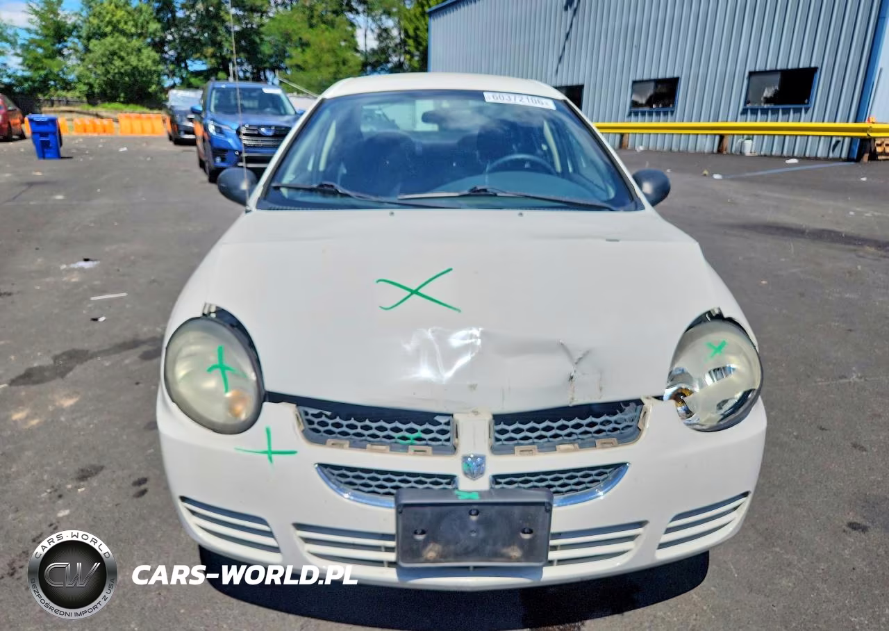 2003 Dodge Neon Sxt VIN:1B3ES56CX3D257311 - 5