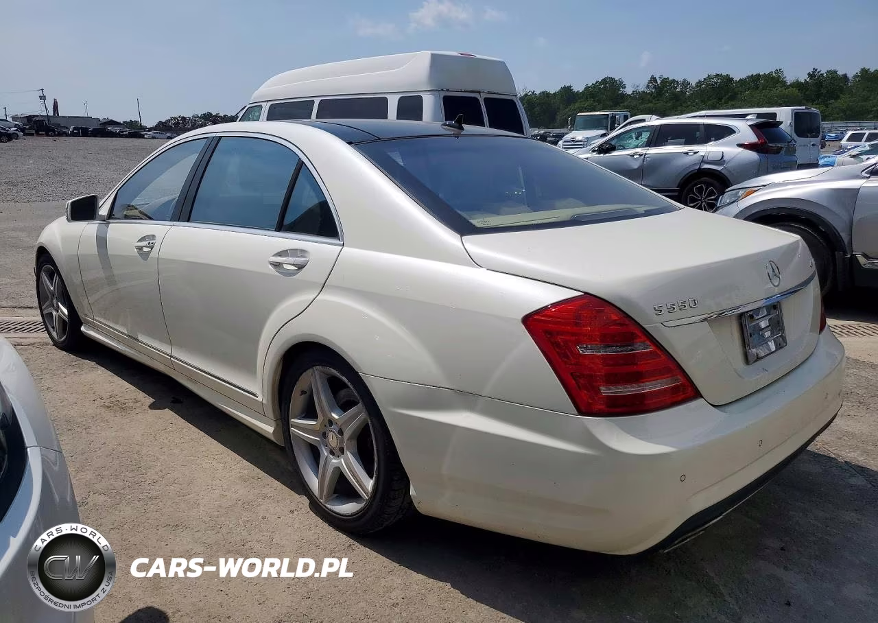 2010 Mercedes-Benz S 550 4Matic VIN:WDDNG8GB6AA350287 - 2