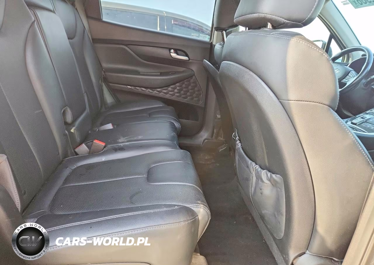 2023 Hyundai Santa Fe Xrt VIN:5NMS64AJ9PH488719 - 11