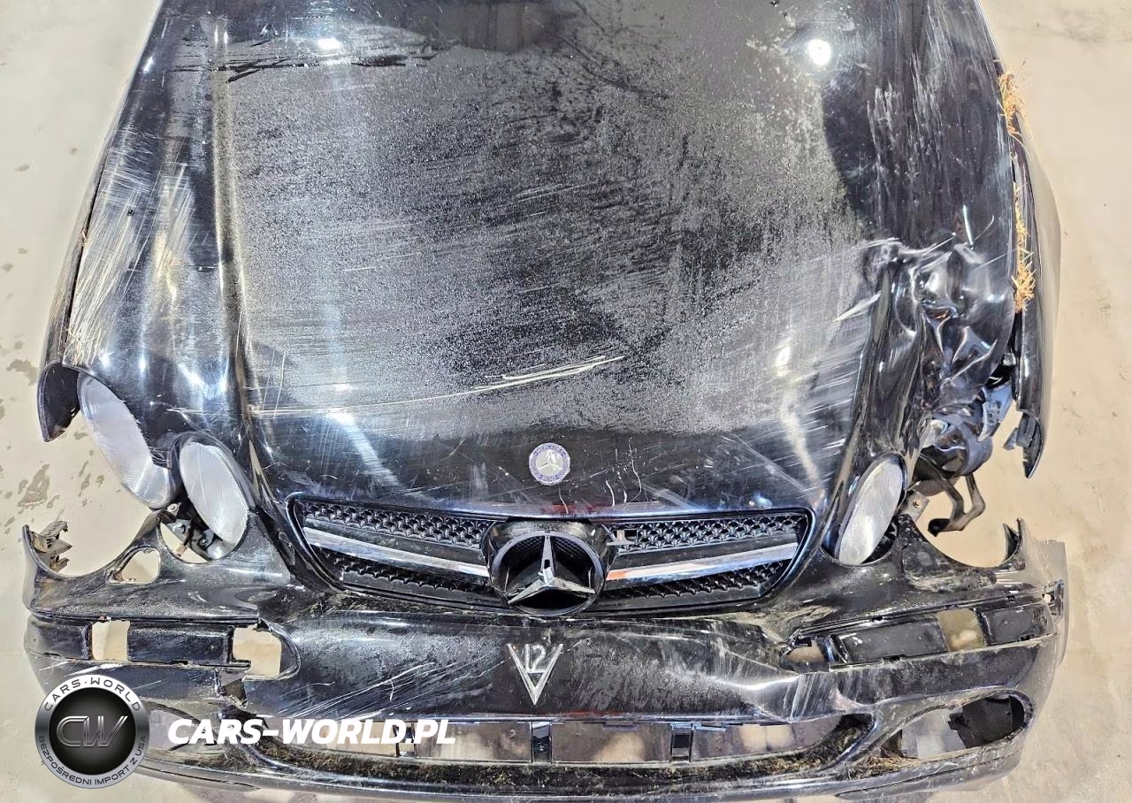 2002 Mercedes-Benz Cl600 VIN:WDBPJ78J92A023645 - 11