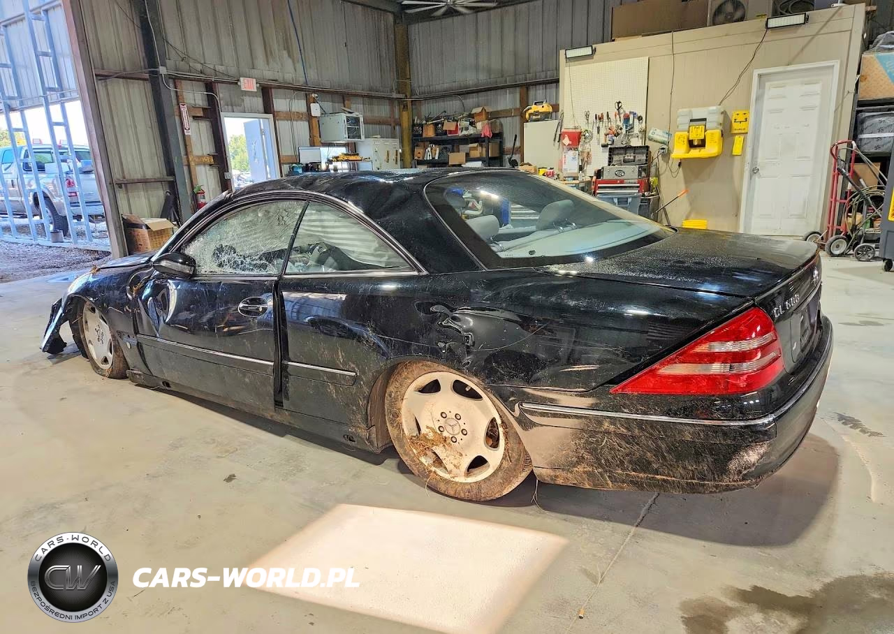 2002 Mercedes-Benz Cl600 VIN:WDBPJ78J92A023645 - 2
